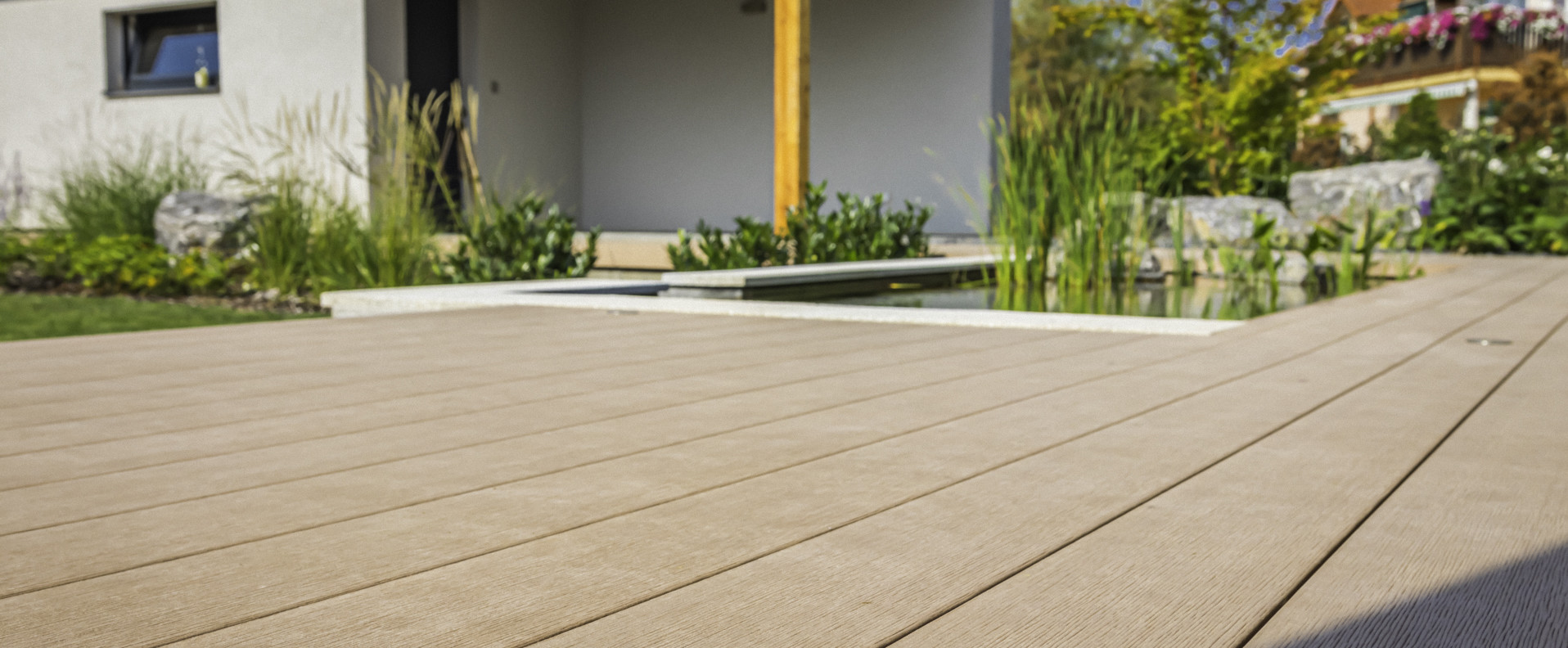 Novosedly 424 Croped